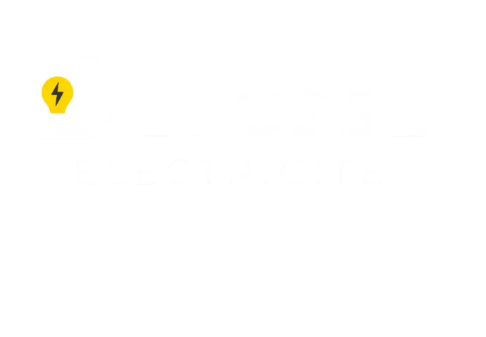 Défossé électricité logo blanc